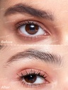SHEGLAM/ 1pc Set Me Up Brow Hold :