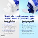 ISNTREE/ ISNTREE Hyaluronic Acid Moist Cream 100ml : ايسنتري كريم الترطيب بالهايلرونك اسيد