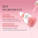 Medicube PDRN Pink Peptide Serum: