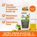 PALMERS/ Coconut Oil Moisture Boost Shampoo 400ml: شامبو بالمرز بزيت جوز الهند