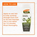 PALMERS/ Coconut Oil Moisture Boost Shampoo 400ml: شامبو بالمرز بزيت جوز الهند