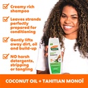 PALMERS/ Coconut Oil Moisture Boost Shampoo 400ml: شامبو بالمرز بزيت جوز الهند