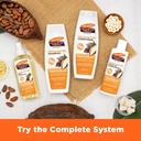 PALMERS/Cocoa Butter Length Retention Shampoo 400ml: شامبو بالمرز بزبدة الكاكاو