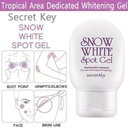 Secret Key/ Snow White Spot Gel 65g: جل سنو وايت لتبييض البقع