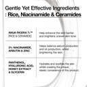 Anua/ 7 Rice Ceramide Hydrating Barrier Serum: سيروم انوا بالسيرمايد